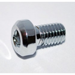 SS-3151012-TR Screw for Bar...